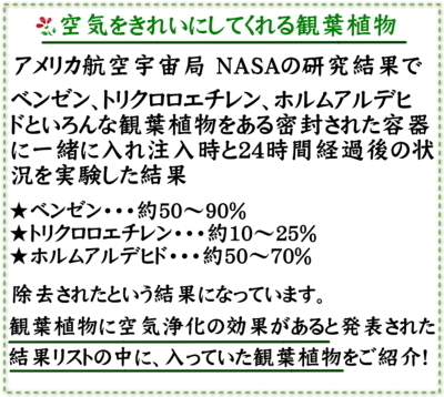 g5-sansum-s-04-dl.jpg